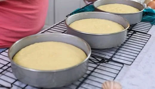 Bake the Cake Layers